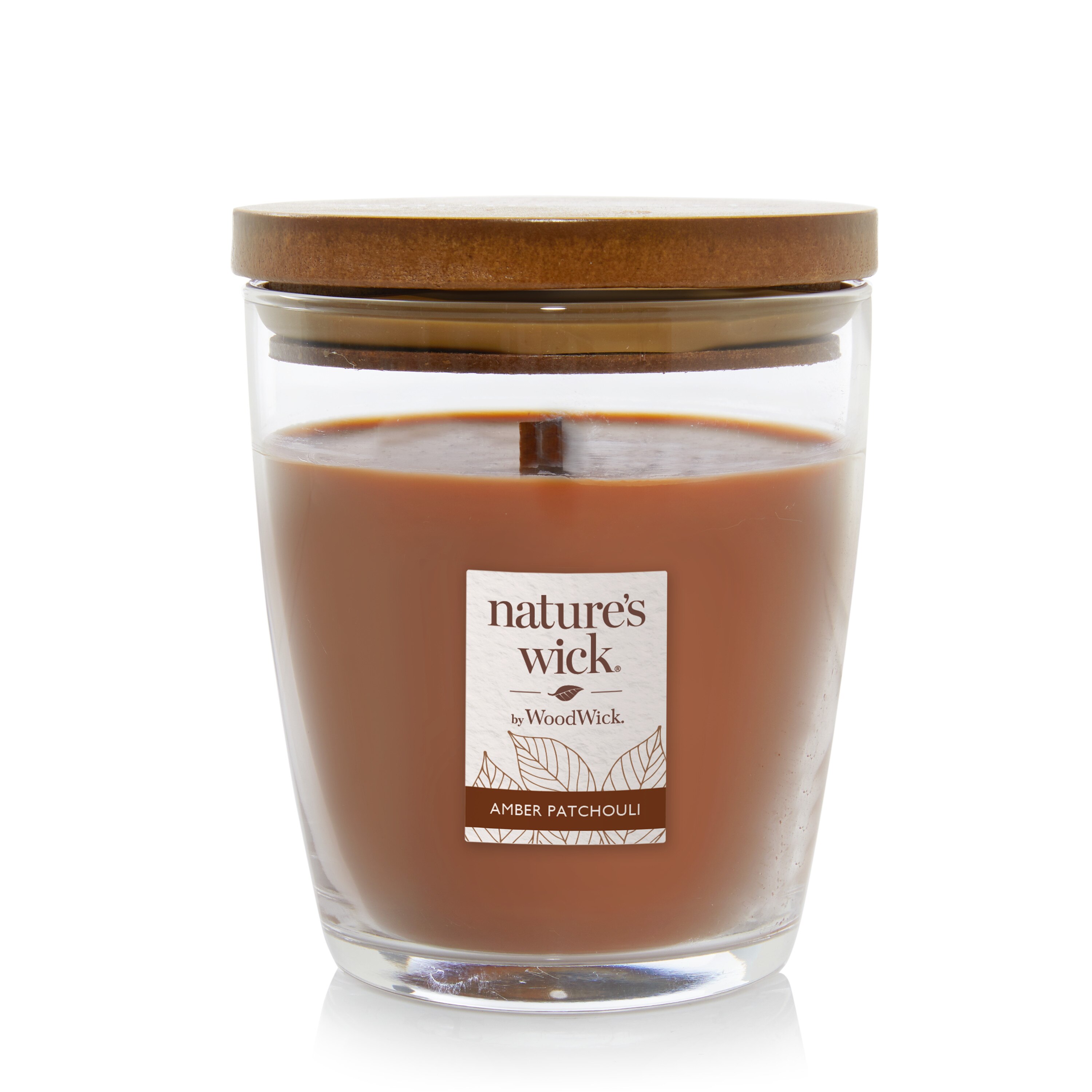 Nature's Wick Succulent Jade Crackle Burning Jar Candle, 10 oz