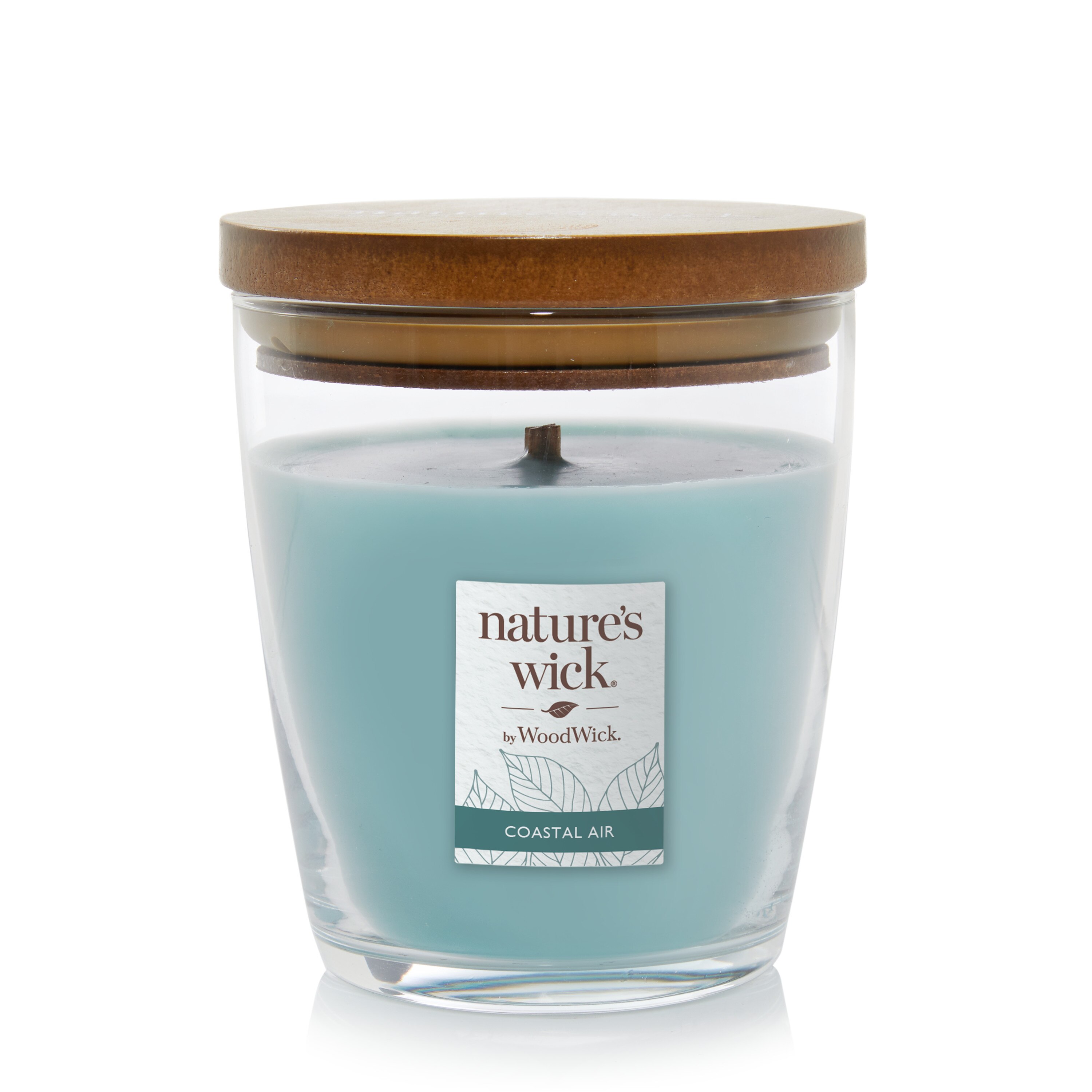 Nature's Wick Succulent Jade Crackle Burning Jar Candle, 10 oz