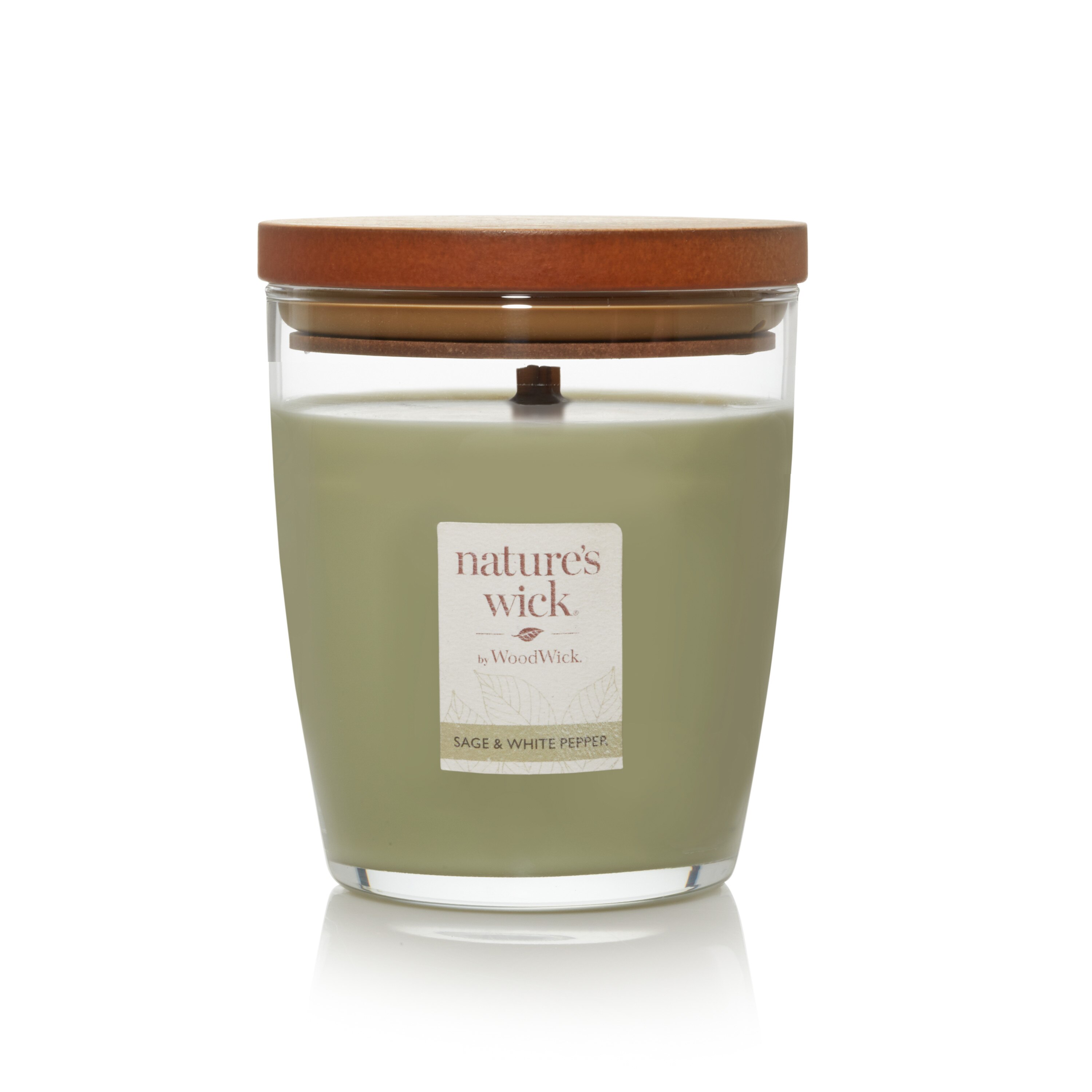 Nature's Wick Succulent Jade Crackle Burning Jar Candle, 10 oz