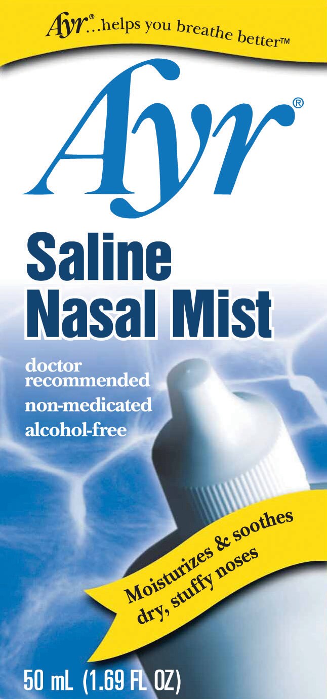 Ayr Saline Nasal Mist, 1.69 OZ