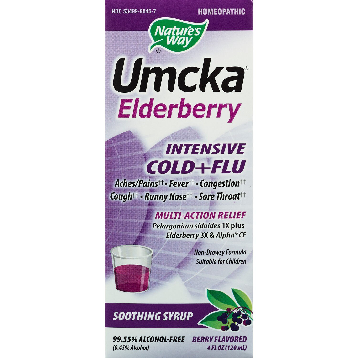 Nature's Way Branded Phytomedicines Umcka Elderberry Intensive Syrup, 4 OZ