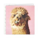 Hallmark Studio Ink Birthday Card (Alpaca) E6, thumbnail image 1 of 1