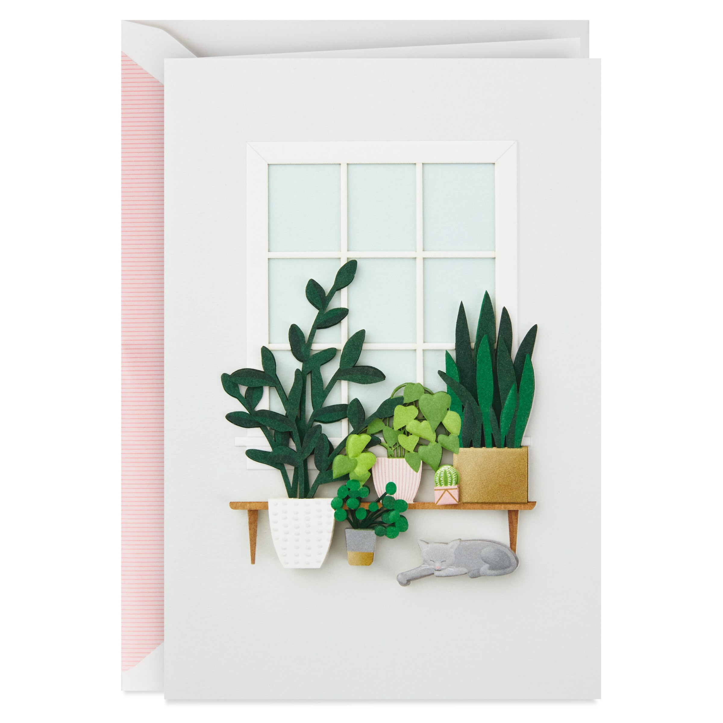 Hallmark Signature Thinking of You Card (House Plants) E8