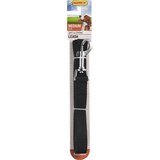 Ruffin' It Nylon Leash for Medium Dogs, 6 ft, thumbnail image 1 of 2