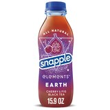 Snapple Elements Earth, 16 OZ, thumbnail image 1 of 7