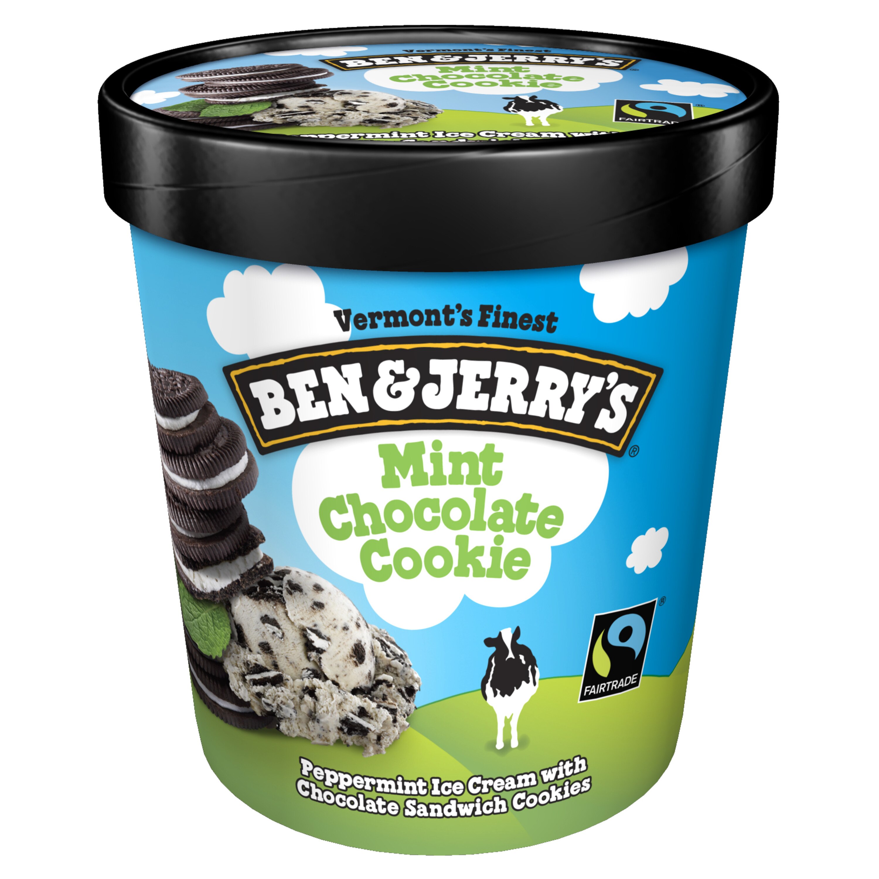 Ben & Jerry's Ice Cream Pint, 16 OZ