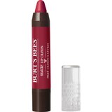 Burt's Bees Lip Crayon, thumbnail image 1 of 9