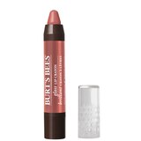 Burt's Bees Gloss Crayon, thumbnail image 1 of 9