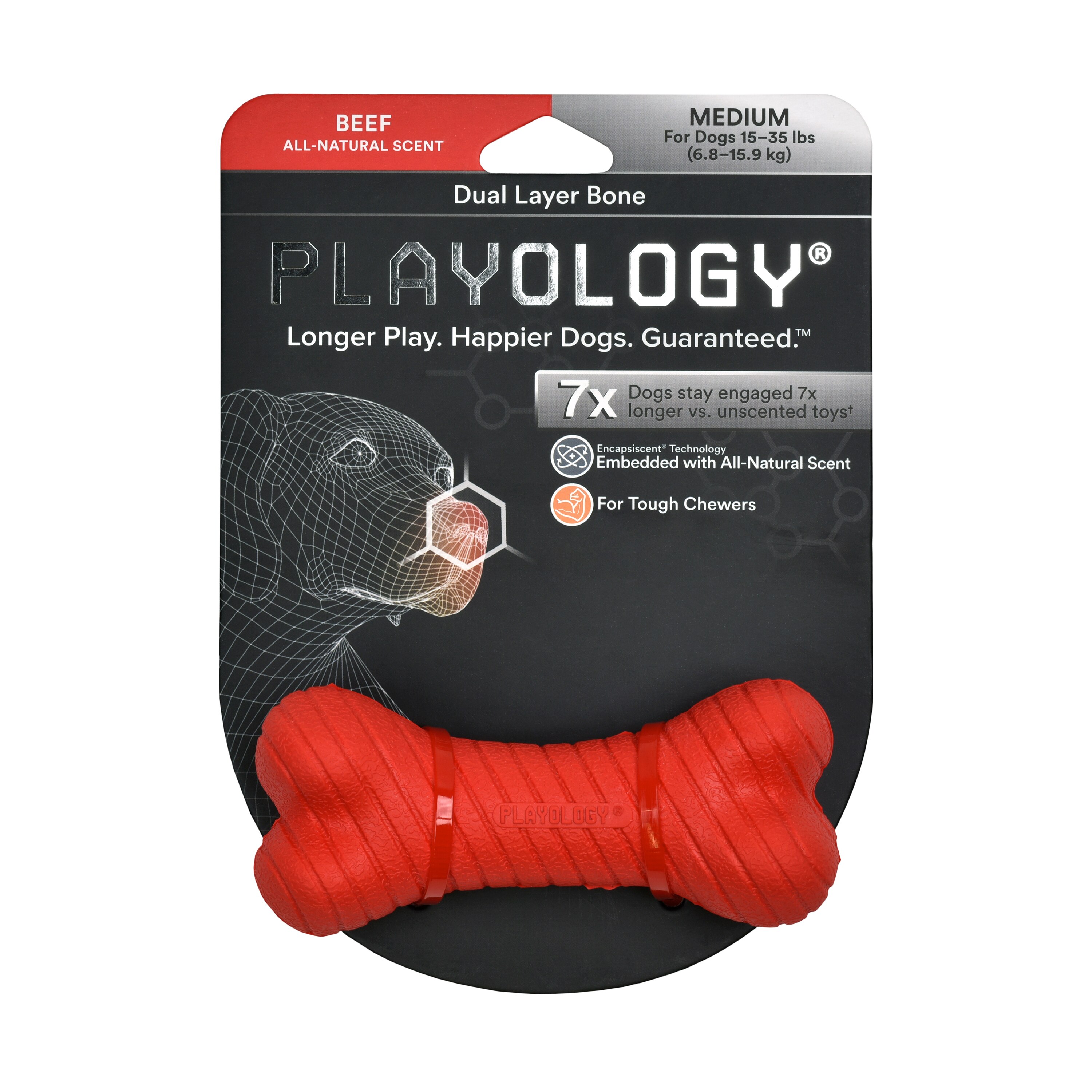 Playology Dual Layer Bone, Beef, Medium