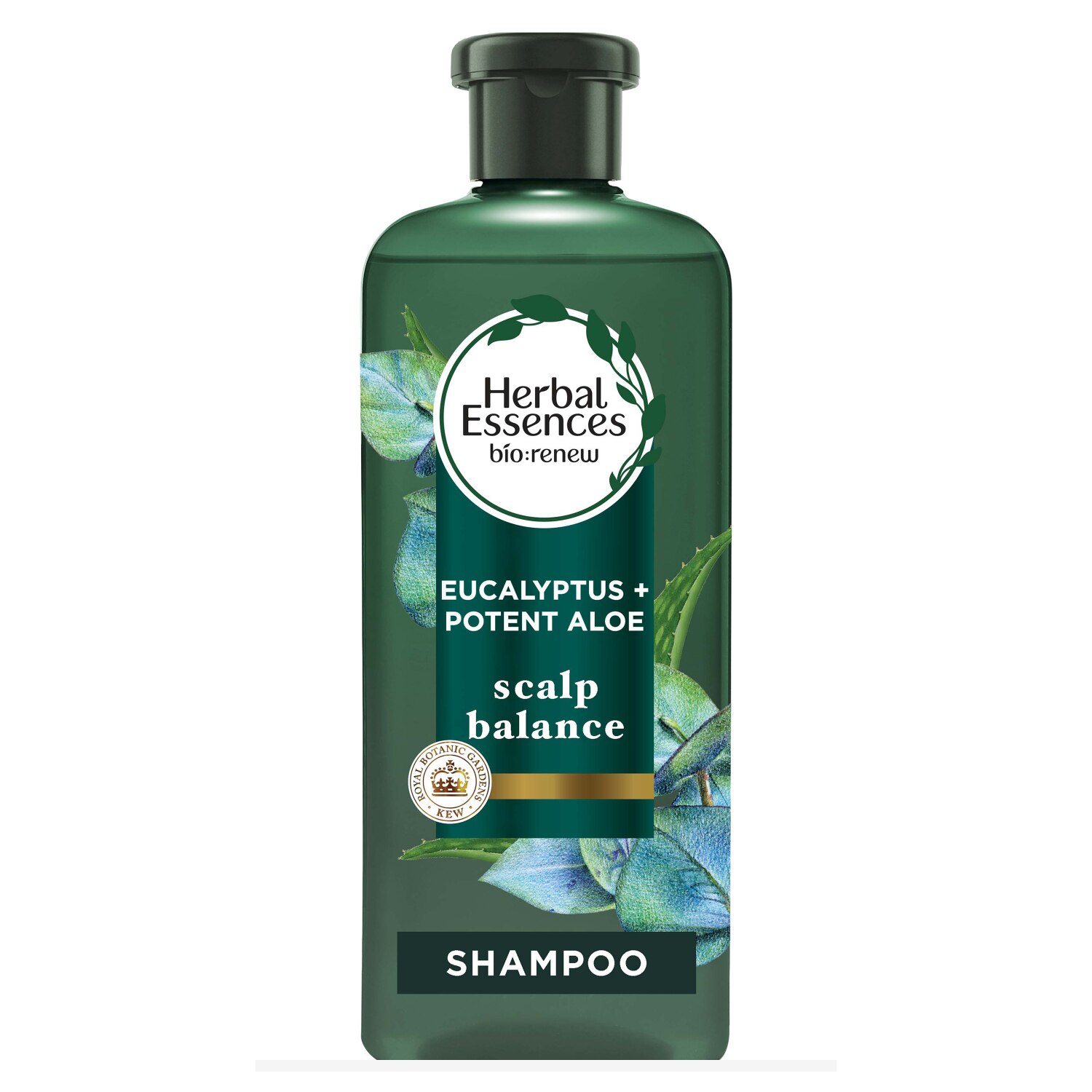 Herbal Essences Bio Renew Aloe & Eucalyptus Scalp Balance Shampoo, 13.5 OZ