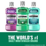 Listerine Antiseptic Mouthwash, Fresh Burst, thumbnail image 2 of 14