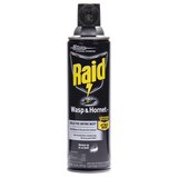 Raid, Wasp & Hornet Killer Spray, 14 oz, thumbnail image 1 of 5