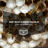 Raid, Wasp & Hornet Killer Spray, 14 oz, thumbnail image 5 of 5
