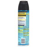 Raid Ant Killer Spray, thumbnail image 2 of 4