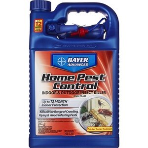 Bayer Advanced Home Pest Control Indoor & Outdoor Insect Killer, 1 Gallon