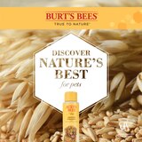 Burt's Bees for Dogs Natural Oatmeal Dog Shampoo, Made in USA, 16oz, thumbnail image 4 of 6