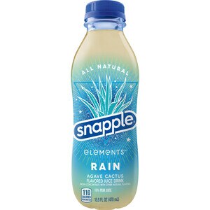 Snapple Elements Rain Agave Cactus Juice Drink, 15.9 OZ