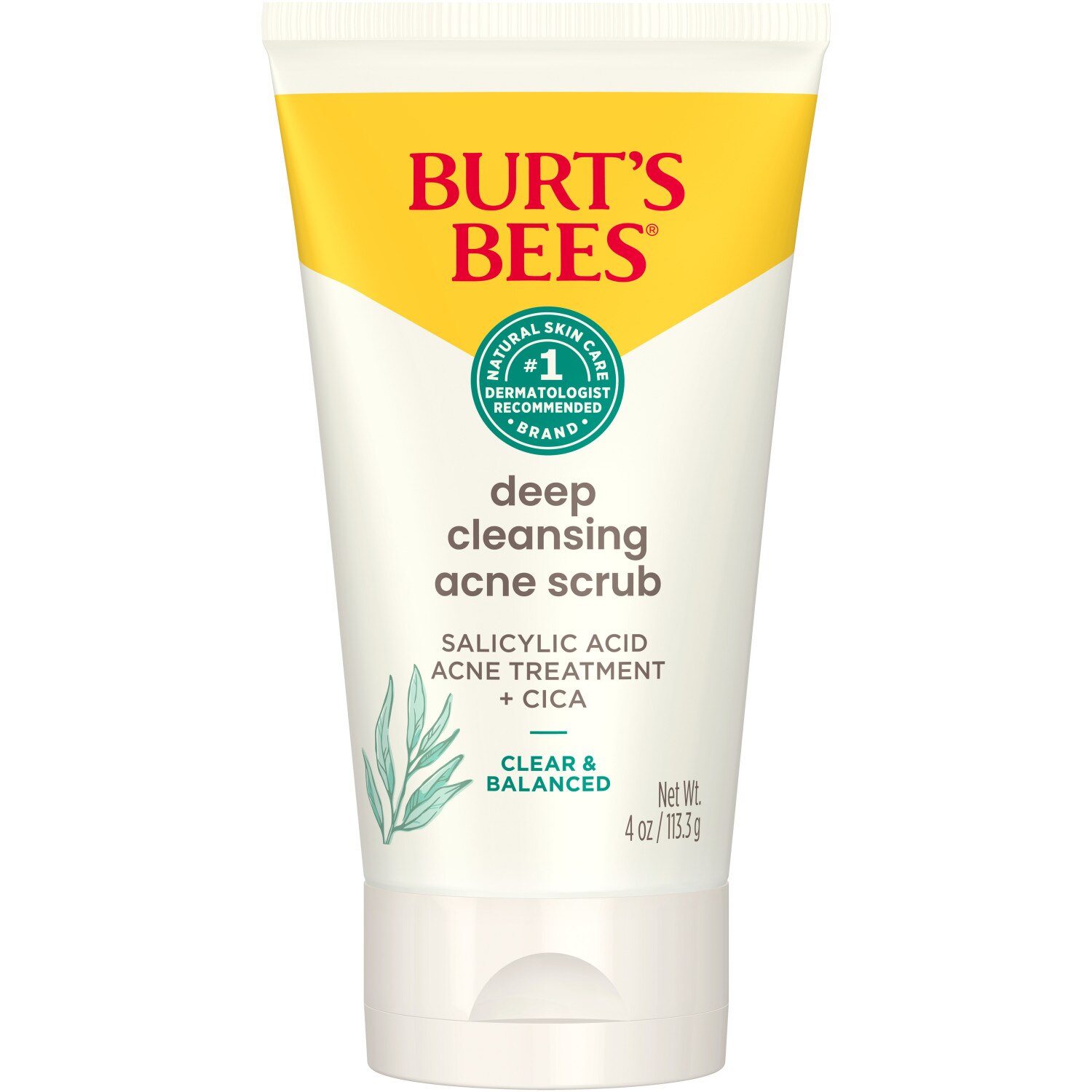 Burt's Bees Clear and Balanced Deep Cleansing Acne Scrub, 4 oz