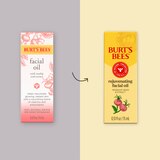 Burt's Bees Rejuvenating Facial Oil with Rosehip Seed Extract, 0.51 fl oz, thumbnail image 2 of 9