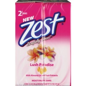 Zest Zestfully Clean Moisturizing Bars, 2CT