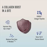 Vital Proteins Travel Size Collagen Gummies, 12CT, thumbnail image 3 of 3