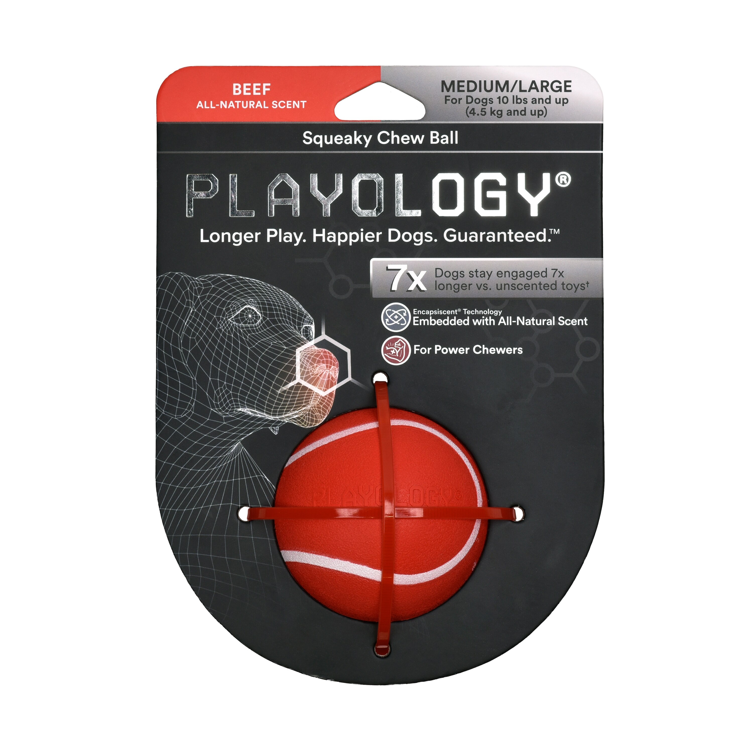 Playology Squeaky Chew Ball, Beef, Medium
